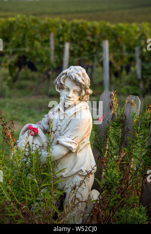 Saint Emilion, Francia - 12 Settembre 2018: Statua di un ragazzo tenendo un cesto con uva sullo sfondo dei vigneti in Saint Emilion regione. F Foto Stock