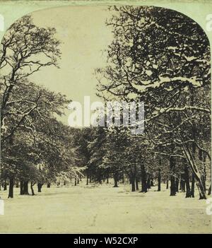 Scena di neve., Manchester azienda fotografica (inglese, 1865 - 1868), 1865-1866, albume silver stampa Foto Stock