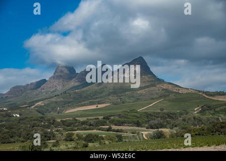 I vigneti di Stellenbosch regione del Western Cape Foto Stock