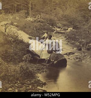 Il mormorio del torrente., Benjamin West Kilburn (American, 1827 - 1909), circa 1875, albume silver stampa Foto Stock