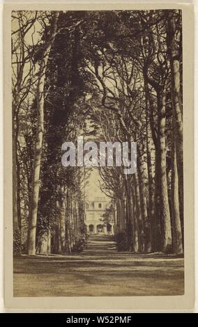 Ragazzi Cliff - Signore Percy. A 3 miglia da Warwick. Avenue di Scotch Firs - 400 anni - Vista dalla strada pubblica - da cui..., Sconosciuto maker, britannico, circa 1865, albume silver stampa Foto Stock