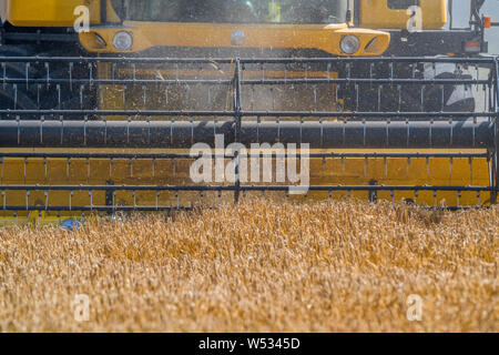 New Holland mietitrebbia il raccolto di un raccolto di orzo. Foto Stock