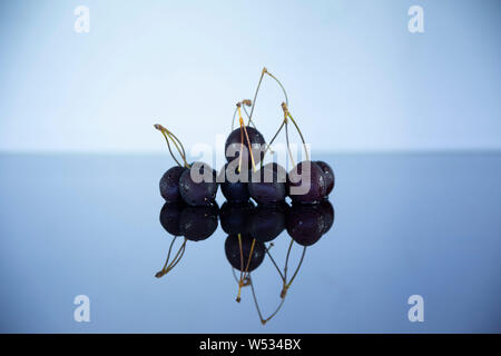 Sento freddo con ciliegie congelate Foto Stock