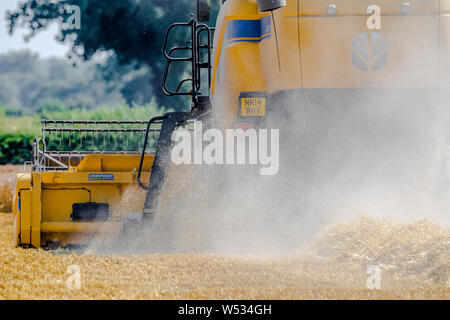 New Holland mietitrebbia il raccolto di un raccolto di orzo. Foto Stock