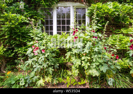 La quintessenza Inglese cottage garden Foto Stock