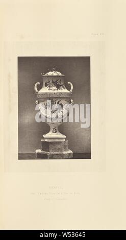 Vaso, William crivelli superiori (inglese, 1811 - 1892), Londra, Inghilterra, 1871, Woodburytype, 10,7 × 7,5 cm (4 3/16 × 2 15/16 in Foto Stock