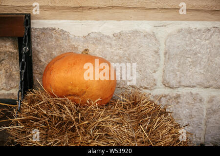 Halloween street decor. La zucca sul fieno in strada di città, vacanze decorazioni vetrine e gli edifici. Spazio per il testo. Dolcetto o scherzetto. Happy halloween Foto Stock