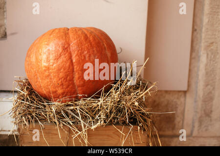 La zucca sul fieno in strada di città, vacanze decorazioni vetrine e gli edifici. Halloween street decor. Spazio per il testo. Dolcetto o scherzetto. Happy halloween Foto Stock