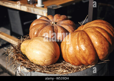 Halloween street decor. La zucca sulla canna con fieno in strada di città, vacanze decorazioni vetrine e gli edifici. Spazio per il testo. Dolcetto o scherzetto. Hap Foto Stock