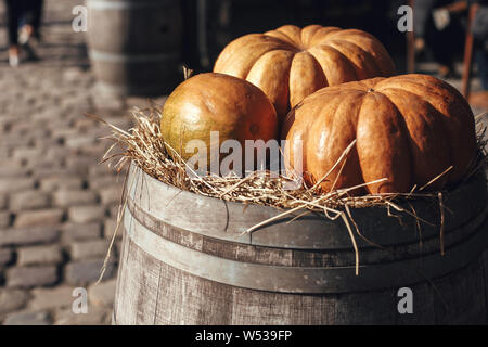 La zucca sulla canna con fieno in strada di città, vacanze decorazioni vetrine e gli edifici. Halloween street decor. Spazio per il testo. Dolcetto o scherzetto. Hap Foto Stock