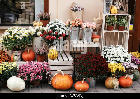 Zucche,squash e fiori su rustiche scatole di legno in una strada di città, vacanze decorazioni vetrine e gli edifici. Halloween street decor. Spazio per t Foto Stock