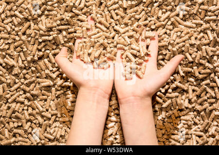 Pellet di legno di pino e nitido Foto Stock