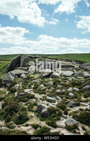 Ilkley Moor vacca e rocce di vitello nello Yorkshire, Regno Unito. Noto anche come Hangingstone rocce. Foto Stock