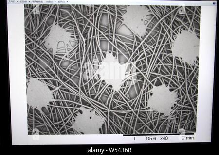 Un lavoratore semiscafi utilizza un microscopio elettronico a scansione per osservare la struttura della Cina il primo lontano infrarosso riscaldamento conduttivo fibra sviluppate sulla base di Foto Stock