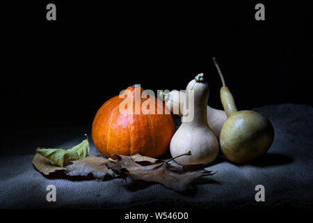 Ancora in vita su uno sfondo nero. Variopinte zucche giacente su foglie secche e sacco Foto Stock