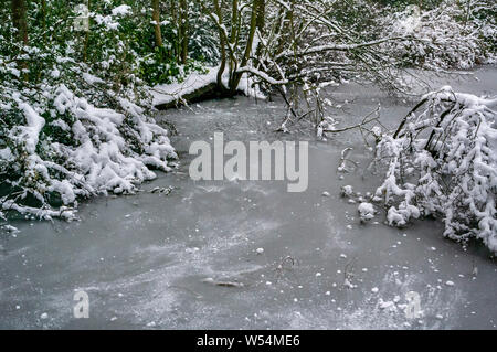 Scena invernale a Graves Park, Sheffield, con un lago ghiacciato, neve e un albero crollato. Foto Stock