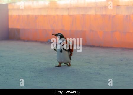 Un pinguino che porta un sacco di visite xx Cina Harbin ed al Mondo del Ghiaccio e della neve 2019 nella città di Harbin, a nord-est della Cina di Provincia di Heilongjiang, 13 gennaio 2019. Foto Stock