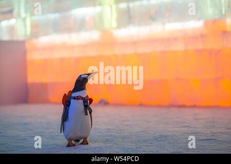 Un pinguino che porta un sacco di visite xx Cina Harbin ed al Mondo del Ghiaccio e della neve 2019 nella città di Harbin, a nord-est della Cina di Provincia di Heilongjiang, 13 gennaio 2019. Foto Stock