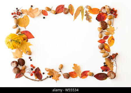 Foglie di autunno, castagne, ghiande e bacche telaio Foto Stock