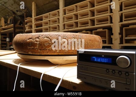 18 luglio 1997 la Svizzera, Burgdorf: un formaggio focaccia nel magazzino di formaggio del veterinario svizzero e hobby casaro Beat Wampfler è riempito con la musica. Egli ha sonicate polpettine di formaggio con musica diversa e un collegio ha determinato in un primo tentativo di effettive differenze di formaggi. I tester hanno dato il formaggio con hip-hop music i migliori marchi. (A dpa 'Hip-hop musica rende il formaggio spicier: frippery o vera scienza?") Foto: Christiane Oelrich/dpa Foto Stock