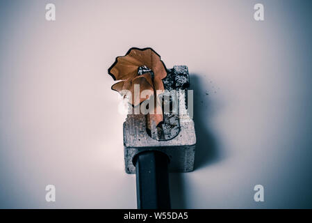 Macro closeup di affilatura di una matita con un metallo grigio temperamatite con legno di rasatura swirl - Concetto di istruzione scolastica, l'apprendimento e lo studente Foto Stock