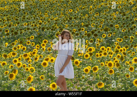 Piuttosto giovane donna su un campo di girasoli Foto Stock