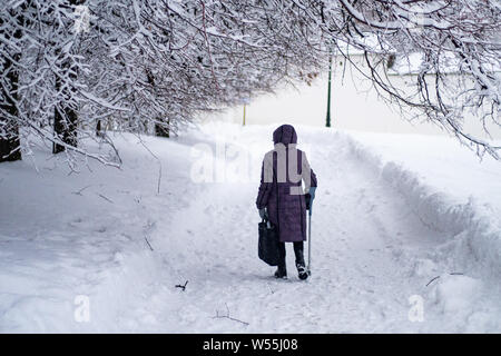 Neve scenario del Parco Kolomenskoe, un ex royal station wagon, a Mosca, in Russia, 13 febbraio 2019. Kolomenskoe park, un ex real estate posto Foto Stock