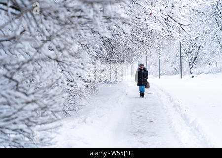 Neve scenario del Parco Kolomenskoe, un ex royal station wagon, a Mosca, in Russia, 13 febbraio 2019. Kolomenskoe park, un ex real estate posto Foto Stock