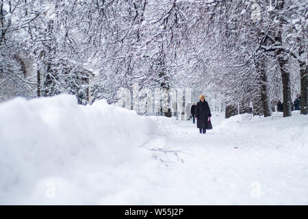 Neve scenario del Parco Kolomenskoe, un ex royal station wagon, a Mosca, in Russia, 13 febbraio 2019. Kolomenskoe park, un ex real estate posto Foto Stock