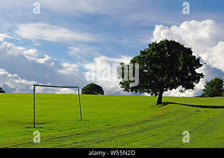 Campo da calcio, un albero e un luminoso Cielo di estate blu con cumulonimbus nuvole in tombe Park, Sheffield South Yorkshire Foto Stock