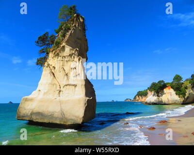 Hoho te Rock sulla Penisola di Coromandel in Nuova Zelanda Foto Stock