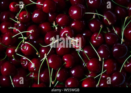 Le ciliegie, vista dall'alto di rosso ciliegia matura frutti, scura o bassa foto chiave Foto Stock