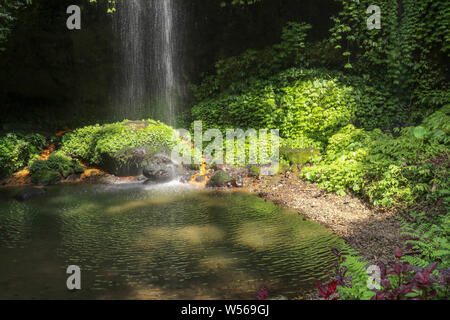 La riflessione del sole con cascata in un piccolo stagno. Cascata di luce solare di smeraldo. Primo piano di una bella cascata rilassante circondato. Foto Stock