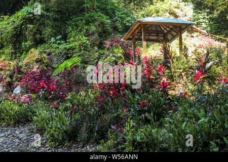 Area per riposare e mangiare. Gazebo in un luogo pittoresco. Coloratissimi fiori tropicali sono in fiore nella foresta pluviale, pittoresco fiori d'estate. Foto Stock