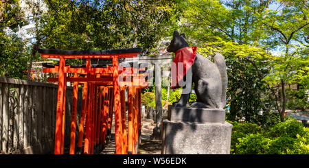 Torii gates al Santuario Nezu in Bunkyo Ward, Tokyo, Giappone. Foto Stock