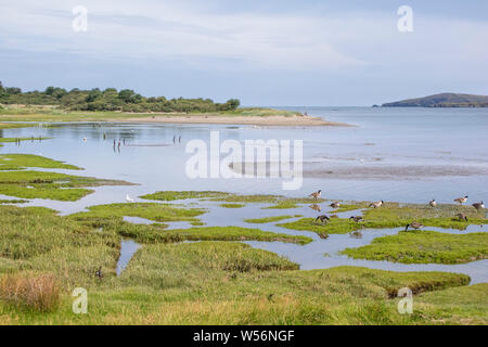 Il guardando attraverso il Teifi estuary tra Cardigan e Poppit Sands, Ceredigion, Wales, Regno Unito Foto Stock