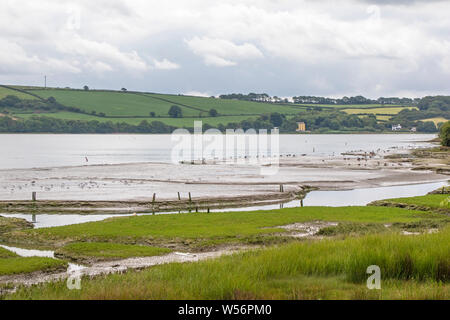 Il guardando attraverso il Teifi estuary tra Cardigan e Poppit Sands, Ceredigion, Wales, Regno Unito Foto Stock