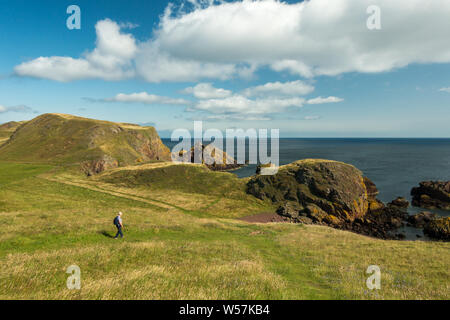 Persona che cammina lungo un percorso a St Abbs Head Riserva naturale in estate in un giorno caldo, Scozia Foto Stock