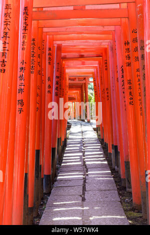 Torii gates al Santuario Nezu in Bunkyo Ward, Tokyo, Giappone. Foto Stock