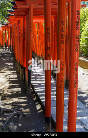 Torii gates al Santuario Nezu in Bunkyo Ward, Tokyo, Giappone. Foto Stock