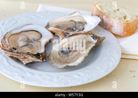 Apre Ostriche crudo su una piastra. Foto Stock