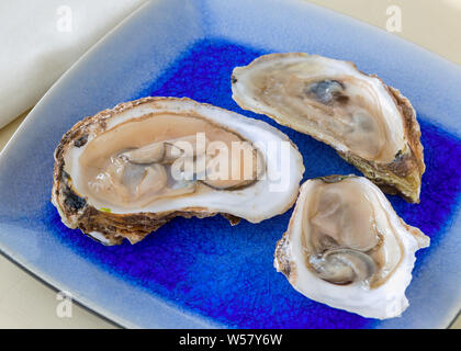 Apre Ostriche crudo su una piastra. Foto Stock