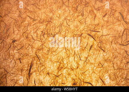 Grana carta (traslucido) fatti a mano con visibile fibre organiche. In delicate tonalità arancio e vaniglia. Foto Stock