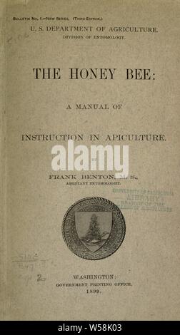 Il miele delle api: un manuale di istruzione dell'apicoltura : Benton, Frank, 1852-1919