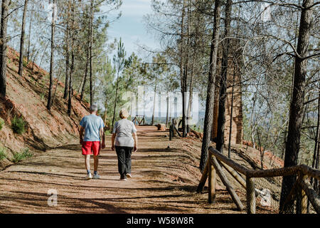 Vista posteriore della coppia senior camminare nel parco con sportswear Foto Stock