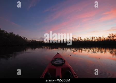 Rosso su kayak Coot Bay stagno in Everglades National Park, Florida al tramonto in una calma sera d'inverno. Foto Stock