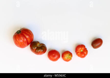 Tomaten mit Basilikum auf weißem Hintergrund Foto Stock