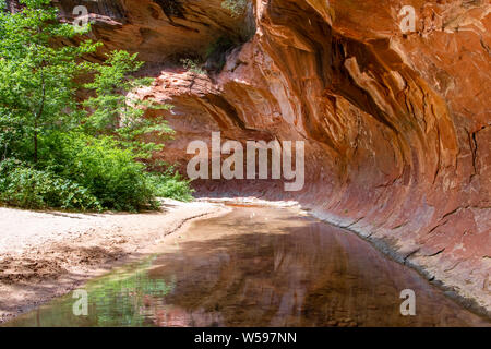 Tranquillo torrente scorre attraverso un tunnel di sovrastante il red rock standstone in un canyon nel sud-ovest americano - Oak Creek, Sedona, in Arizona Foto Stock