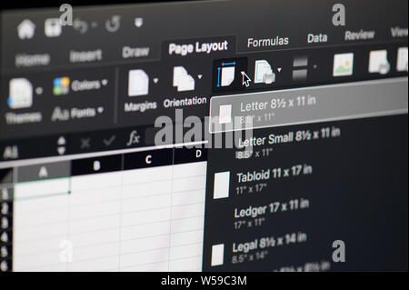 New york, Stati Uniti d'America - 26 luglio 2019: modifica il layout della pagina Microsoft Office Excel software sul computer macro vista ravvicinata in pixel dello schermo Foto Stock