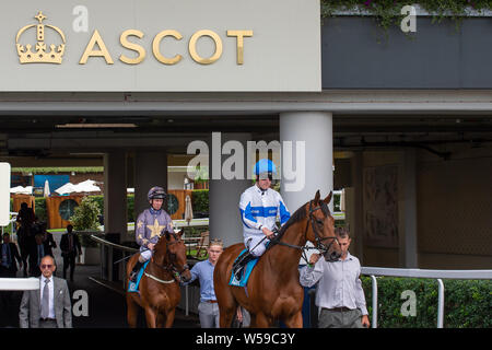 QIPCO King George Weekend, Ascot Racecourse, Ascot, Regno Unito. 26 Luglio, 2019. La voce per la pista. Credito: Maureen McLean/Alamy Foto Stock